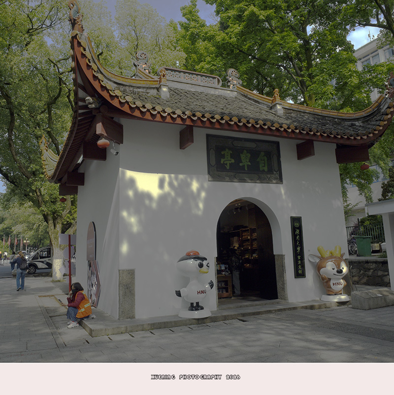 _DSC8736 拷贝.jpg