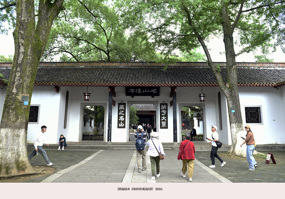 _DSC8747 拷贝.jpg