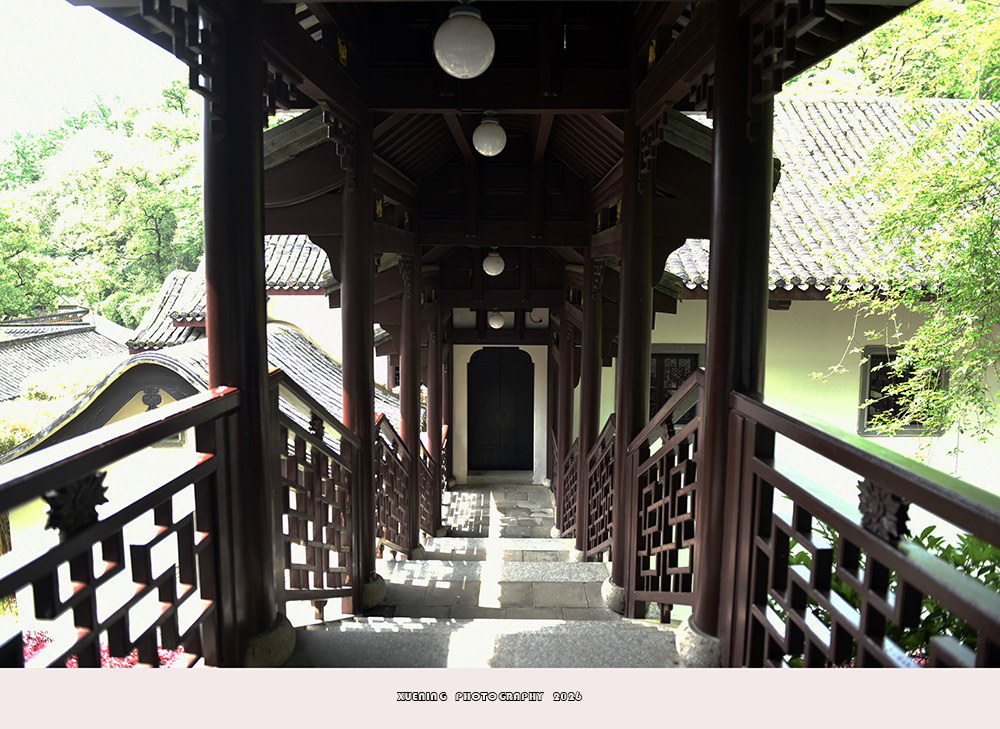 _DSC8783 拷贝.jpg