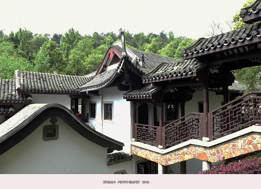 _DSC8782 拷贝.jpg