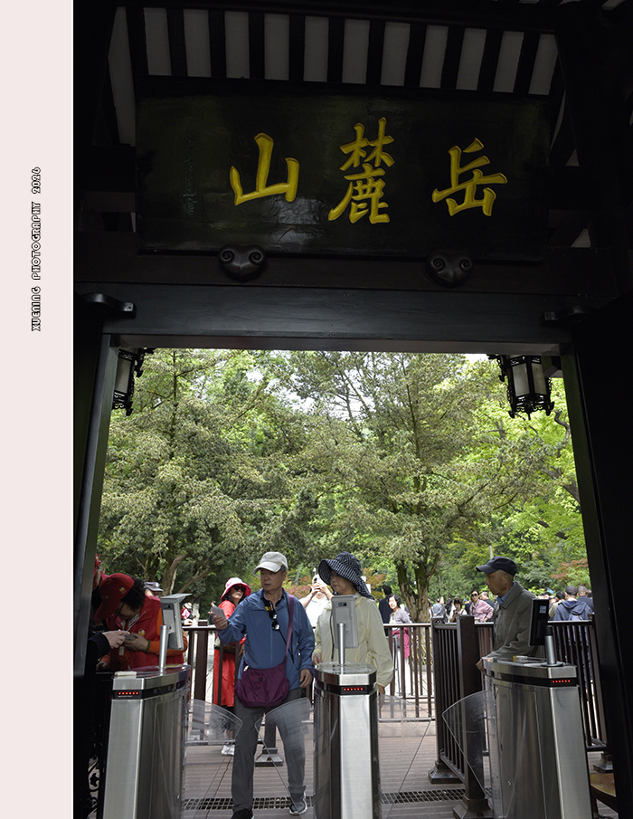_DSC8787 拷贝.jpg