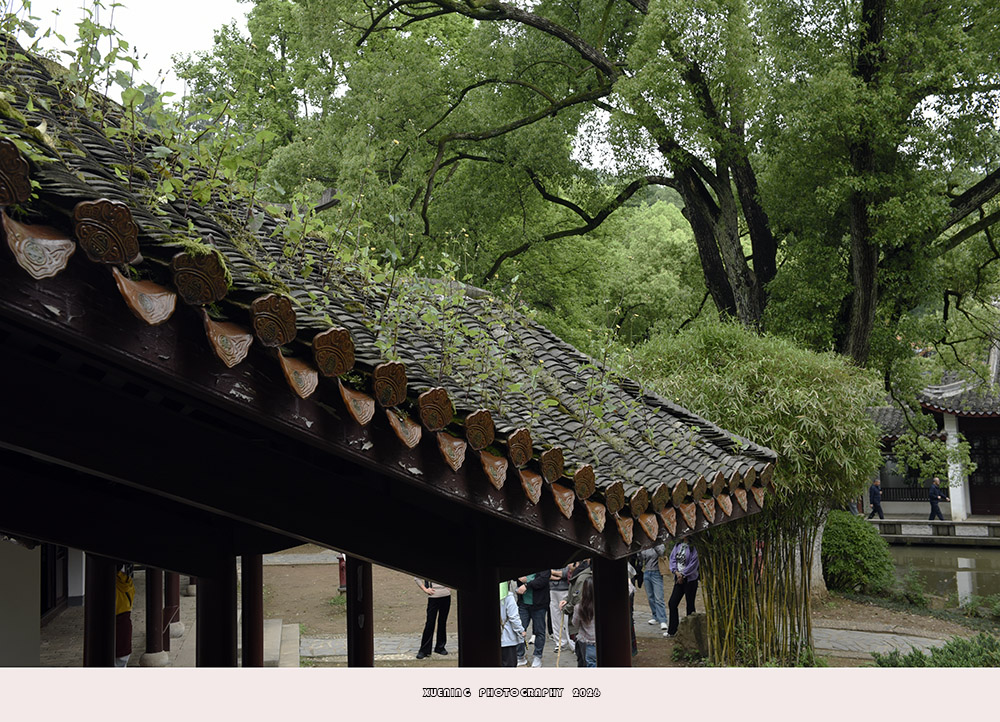 _DSC8801 拷贝.jpg
