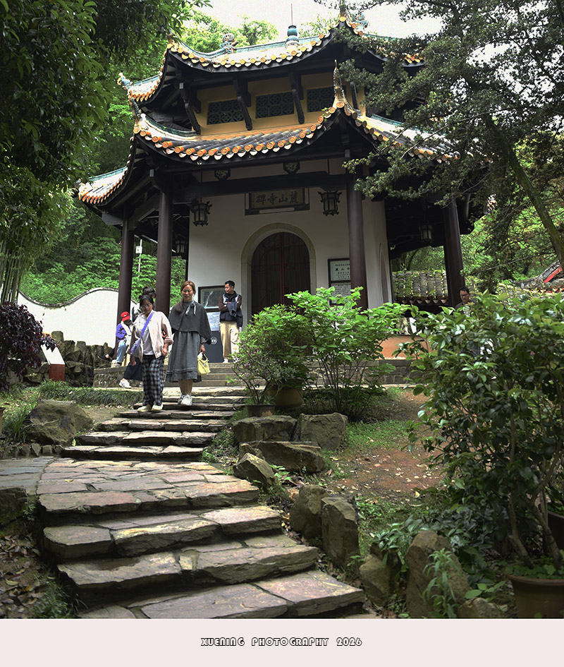 _DSC8808 拷贝.jpg