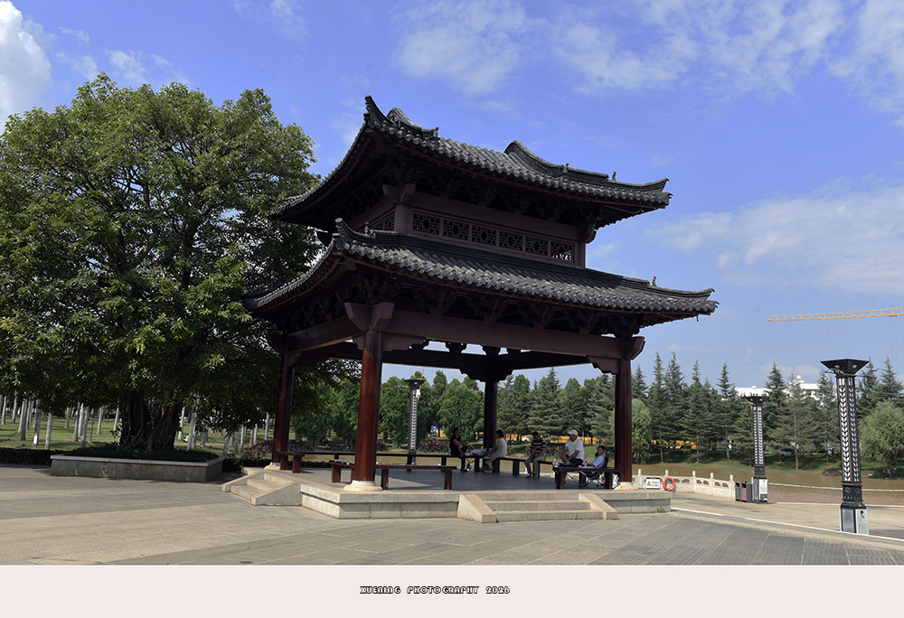 _DSC1181 拷贝.jpg
