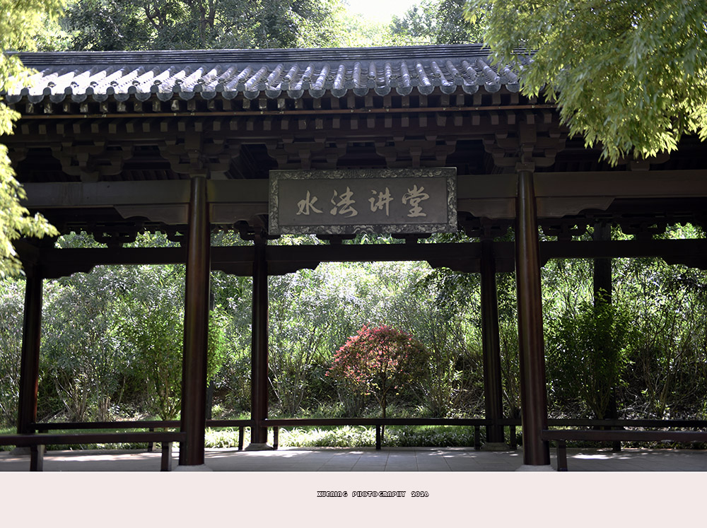 _DSC1337 拷贝.jpg