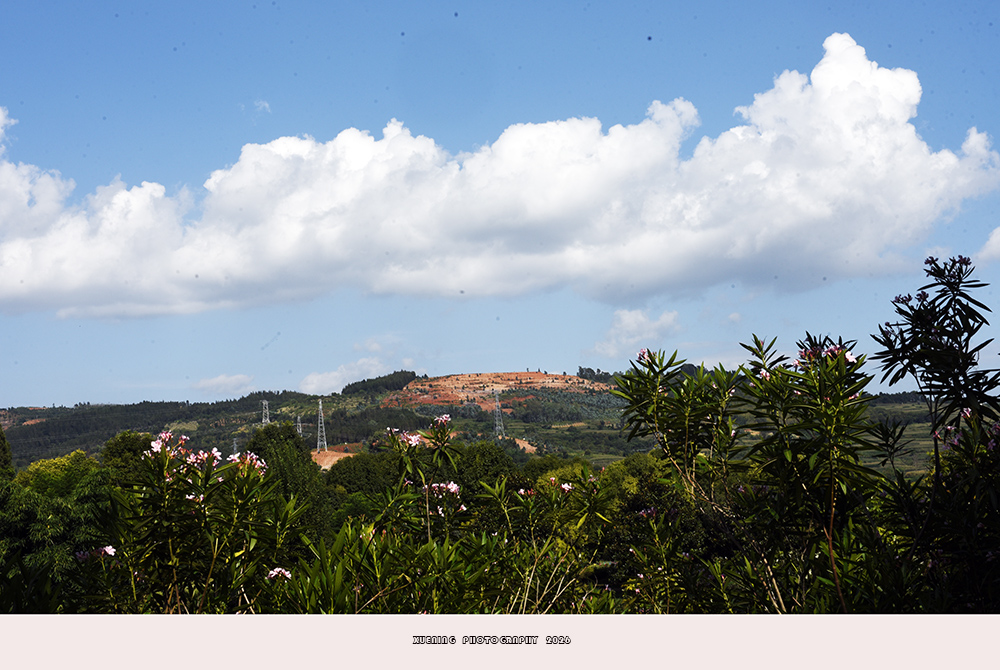 _DSC1356 拷贝.jpg