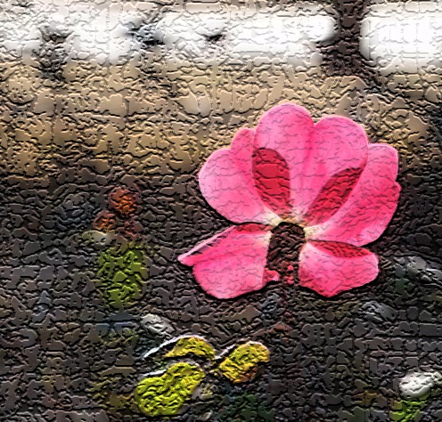 [原创]开妍
