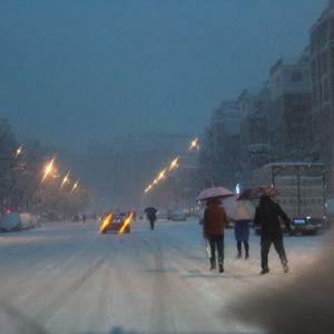 河南信阳：暴雪中到处都是“步行街”（组图）