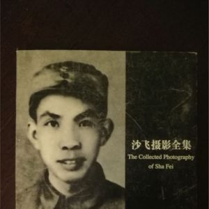 風中飛舞的一粒沙