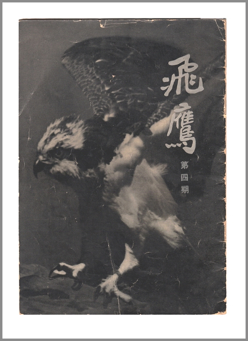 《飞鹰》杂志
