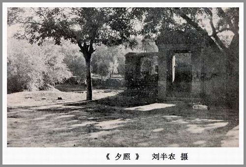 夕阳 刘半农摄