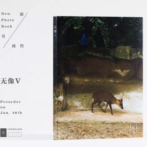 《無像V》