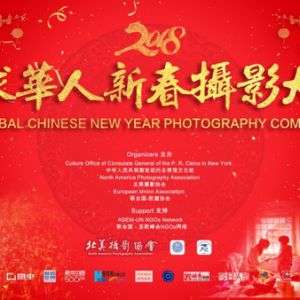 2018全球華人新春攝影大賽（已結束）