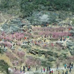 鮑昆：曾經山水今又是，換了人間