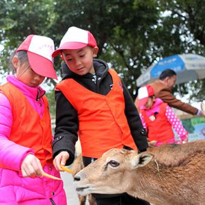 贫困孤残留守儿童圆梦新年心愿（图片新闻）