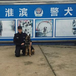 河南淮滨：训犬员与小战友“忠诚”的故事（图）