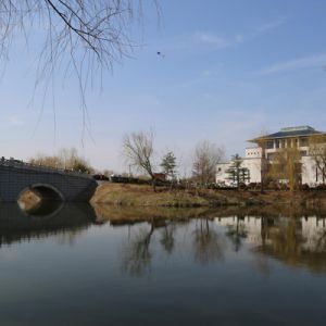 河南淮滨：三月里来好春光孩子出门乐陶陶（组图）