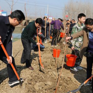 河南淮滨：植树节里干群播绿忙（组图）