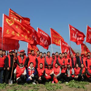 河南淮滨：乌龙港上红旗招展播绿忙（组图）