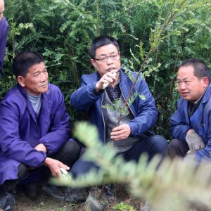 一“草”一“木”促农富
