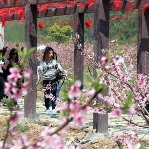 感受春天“味道”