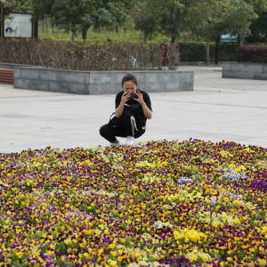 河南信阳：百花园里百花开（组图）