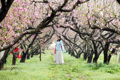“大美芒砀”2018“山花杯”全国摄影大展有奖征稿