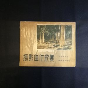 《攝影佳作欣賞》