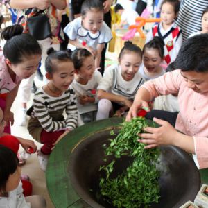 体验采茶乐融融（图片新闻）