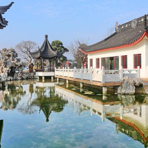 水韵江苏·如皋花木·香溢四海“花木大世界杯“摄影大赛征稿