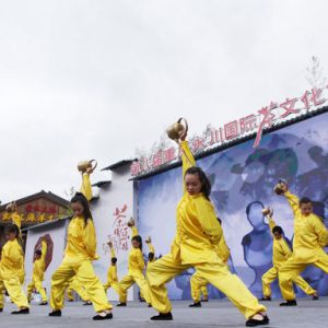 青少年茶艺大赛（图片新闻）