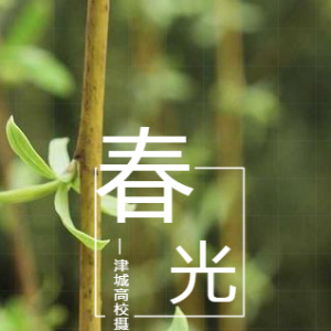 【春·光】津城大學生 春主題線上攝影作品展