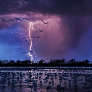 2017意大利錫耶納國際攝影獎作品賞析 The Siena International Photography Awards