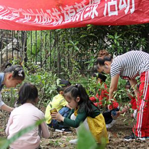 “我为地球植新绿”