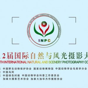 第12届国际自然与风光摄影大赛