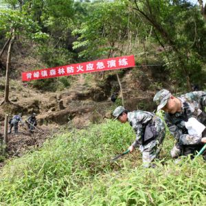 森林防火应急实战演练（图片新闻）