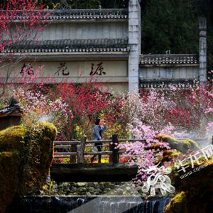 酉阳桃花源首届全国摄影展征稿火热进行中 摄影大师解海龙5·19桃花源开堂讲授光影魅力