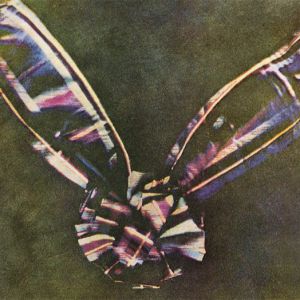 第11屆國(guó)際彩色攝影獎(jiǎng)揭曉