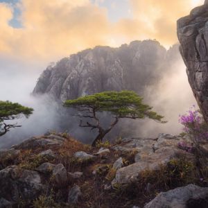 愛普生國(guó)際全景攝影獎(jiǎng)自然類非專業(yè)組