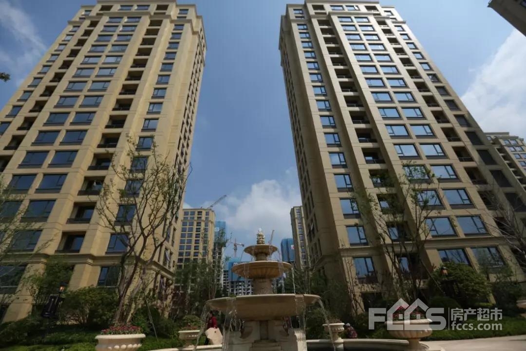 摄影 陈默