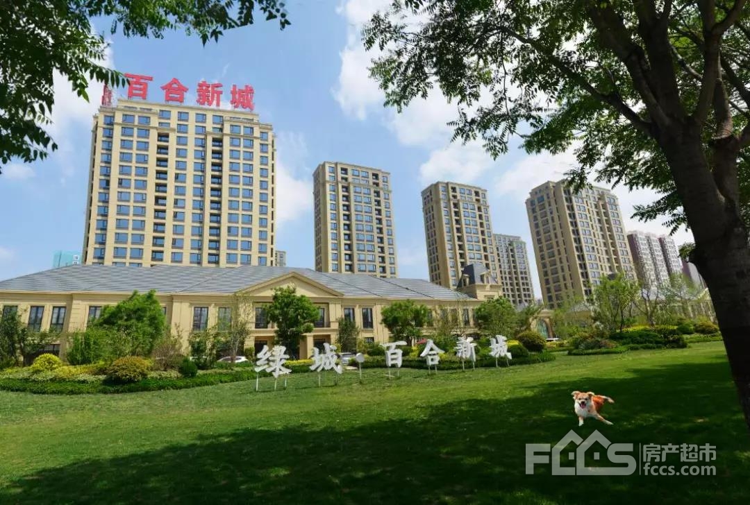 摄影 张梦云