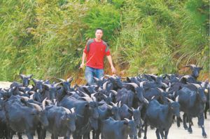畢節市第三屆職工攝影展賽獲獎作品（手機類）選登