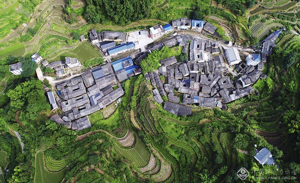 巨型“花生”刘碧娣 摄.jpg