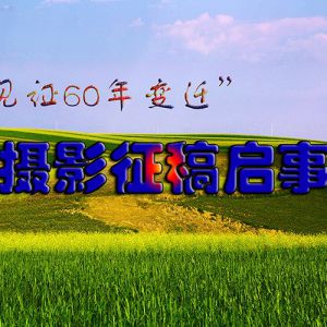 固原市“见证60年变迁”摄影大赛启事