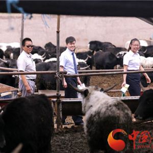 “打call新时代 聚焦新邮储” 摄影大赛金昌站掠影（二）
