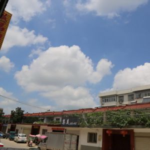 王長江：仰望天空云飛揚好一幅夏日美景（組圖）