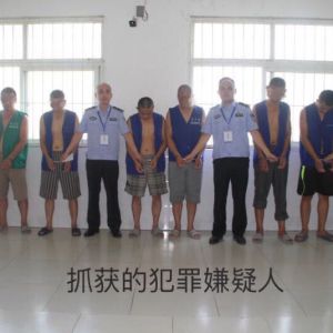 河南淮滨警方抓获一专盗家禽的团伙6人被依法刑拘（图）