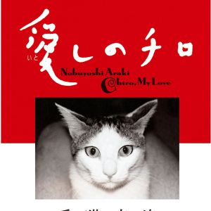 《愛貓奇洛》