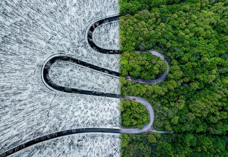 20180730162158QxyrlvKVTtsF15e0.jpg