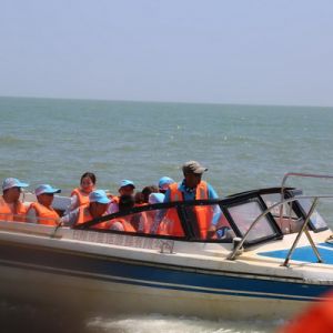 河南淮滨：到山东日照看大海（组图）